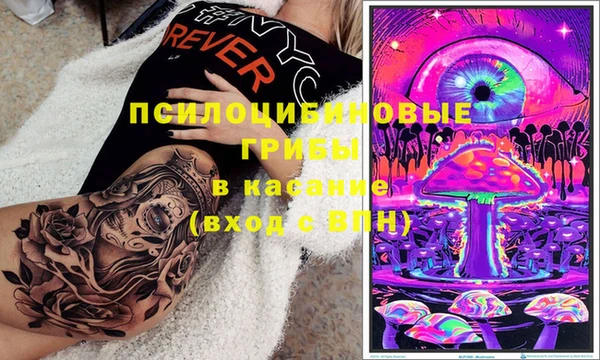 ECSTASY Зеленокумск